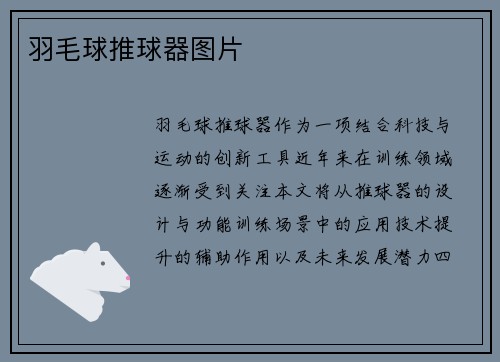 羽毛球推球器图片